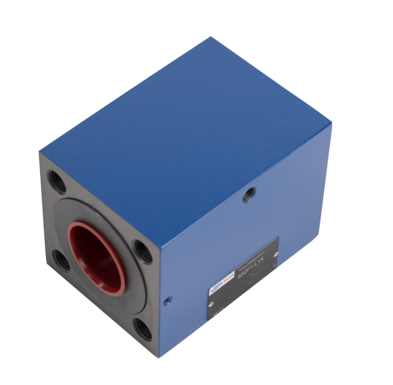 S...L1X Check Valve (Large Bore)